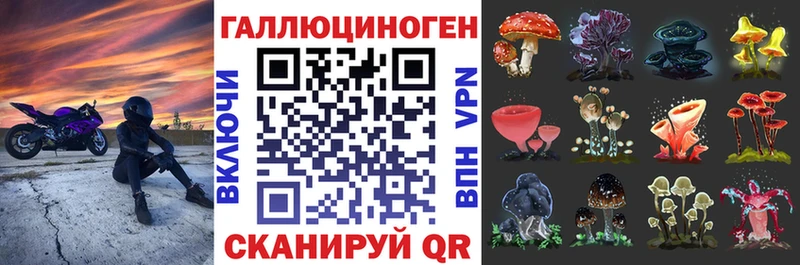 Галлюциногенные грибы прущие грибы  купить наркотики цена  Курчатов 